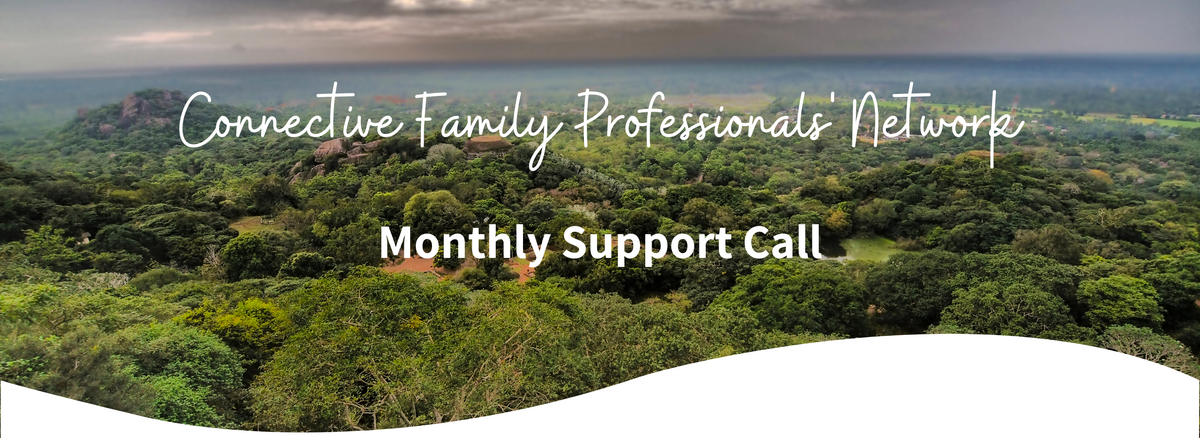 Copy of Connective Family Pro's Network (1)