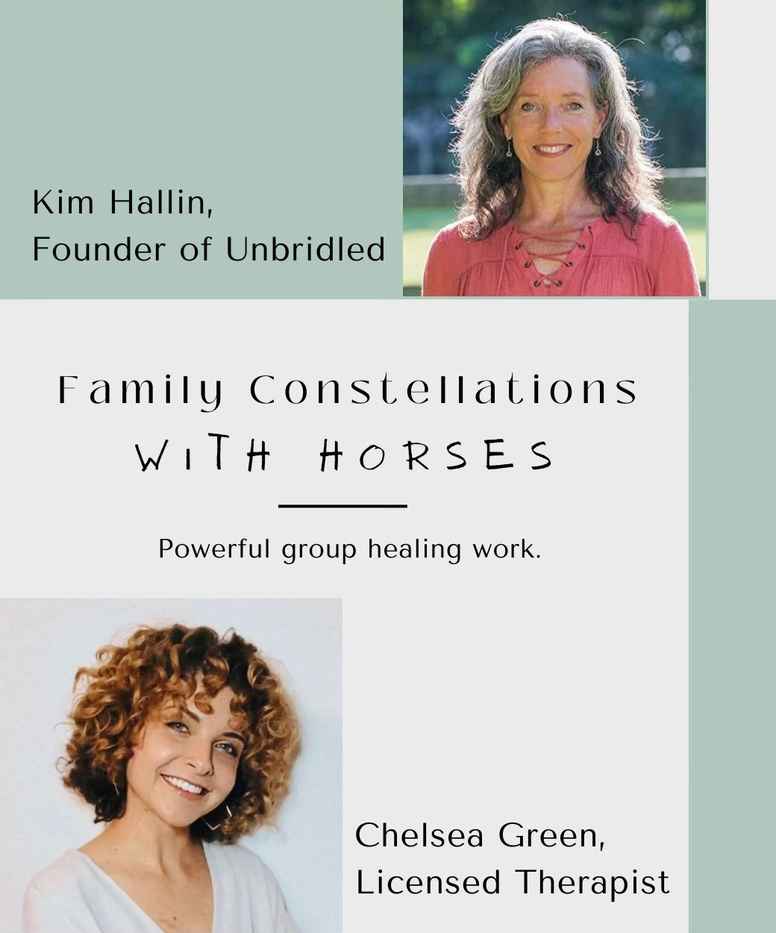 Family Constellations with Horses