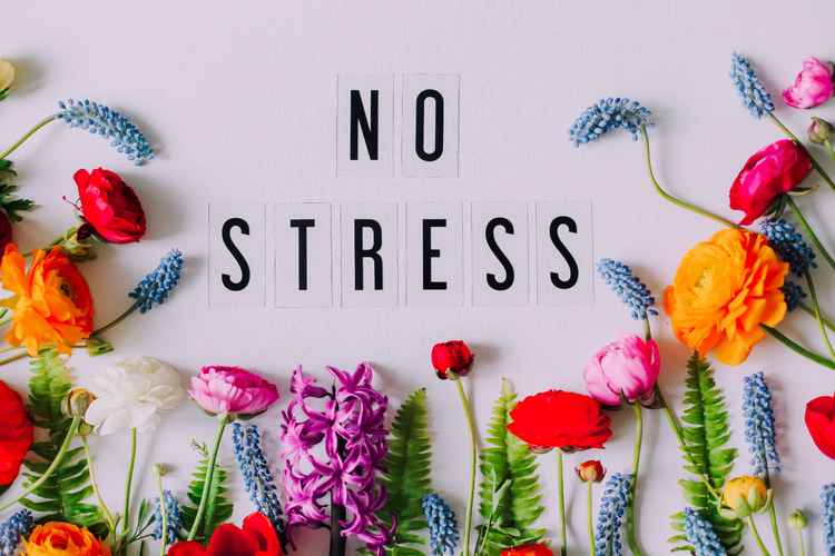 Fra Utmattelse til Ro Lær Hvordan du Kan Lindre Stresssymptomer Effektivt