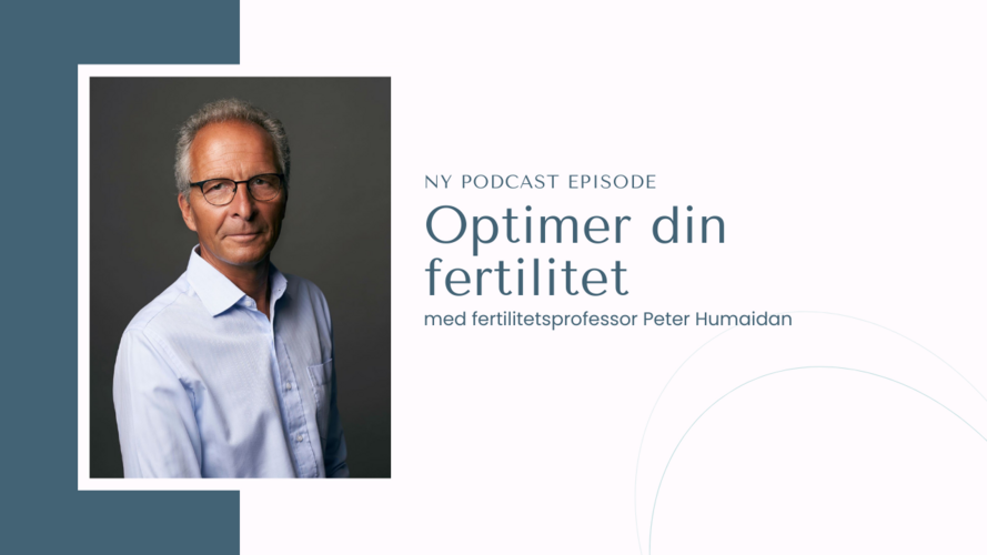 Optimer din fertilitet - Peter Humaidan