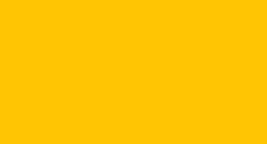 catalog_yellow