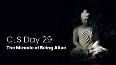 Day 29 The Miracle of Being Alive