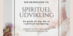 spirituel udvikling ebog