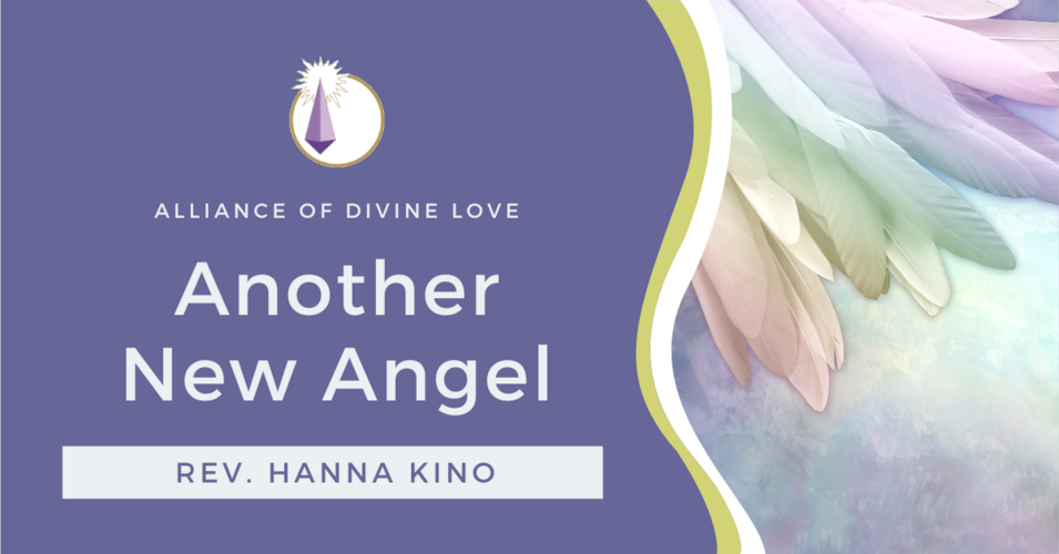 New Angel - Hanna Kino