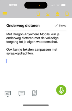 Dragon Anywhere Mobile (250 x 384 px)