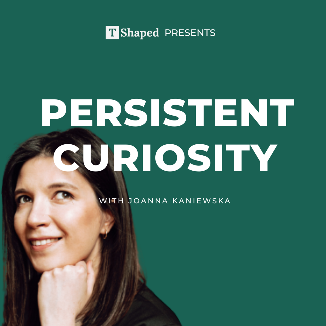 Persistent Curiosity Cover