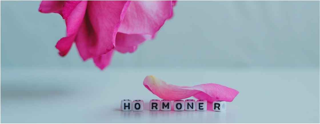 Hormonbalancen
