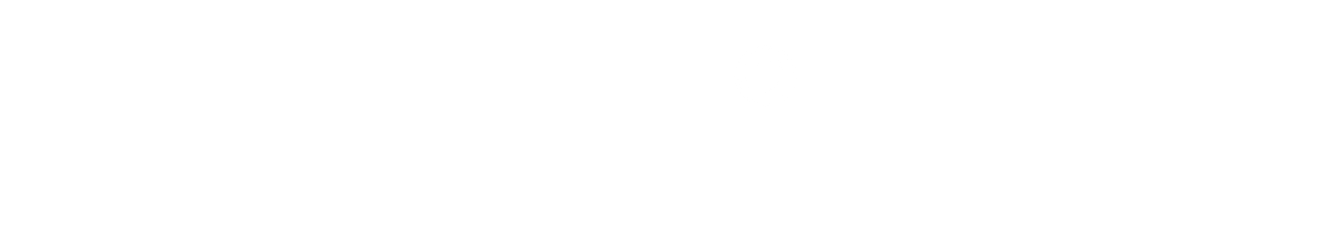 MSH Banner White