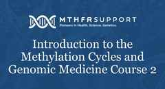 introduction to methylation cycles course 2