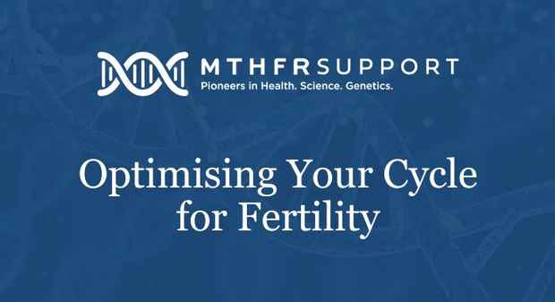 Optimising Your Cycle for Fertility