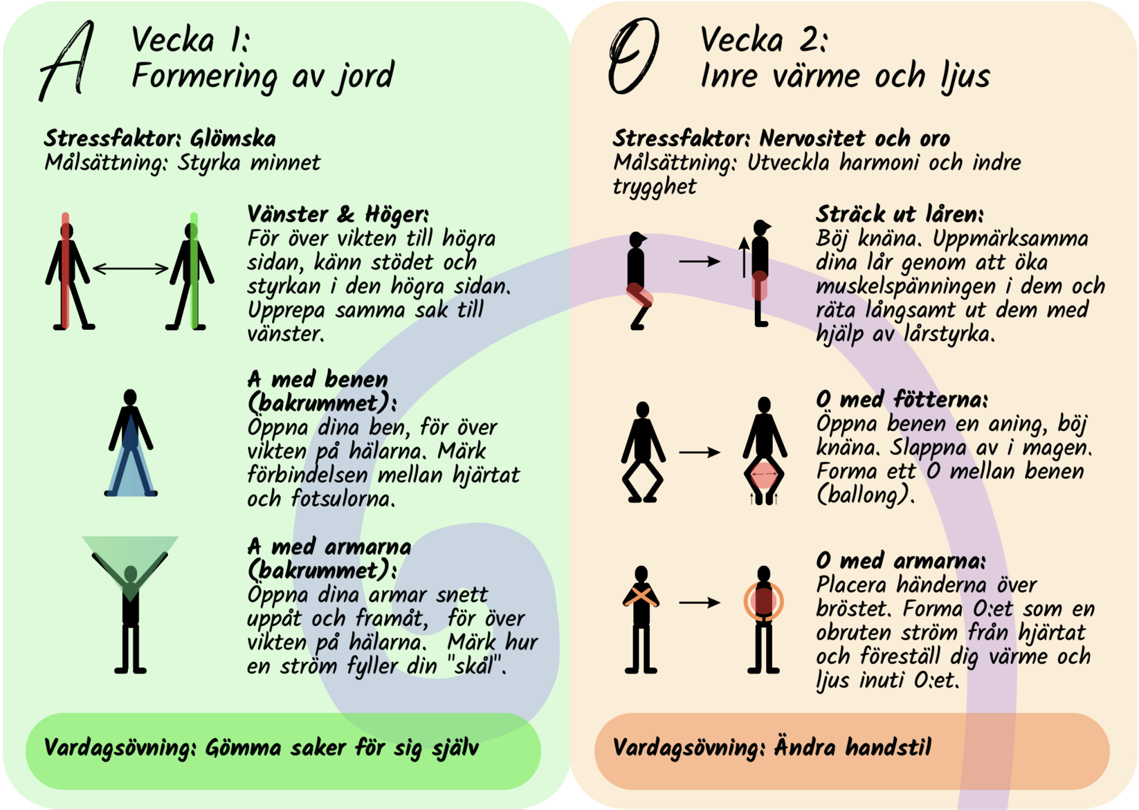 ABSR i fickformat