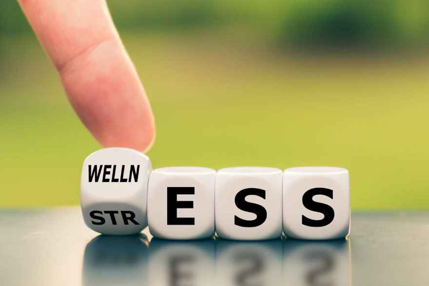 implement wellness strategies
