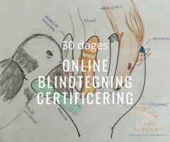 Copy of Online Blindtegning Certificering