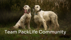 Team PackLife COmmunity framsida