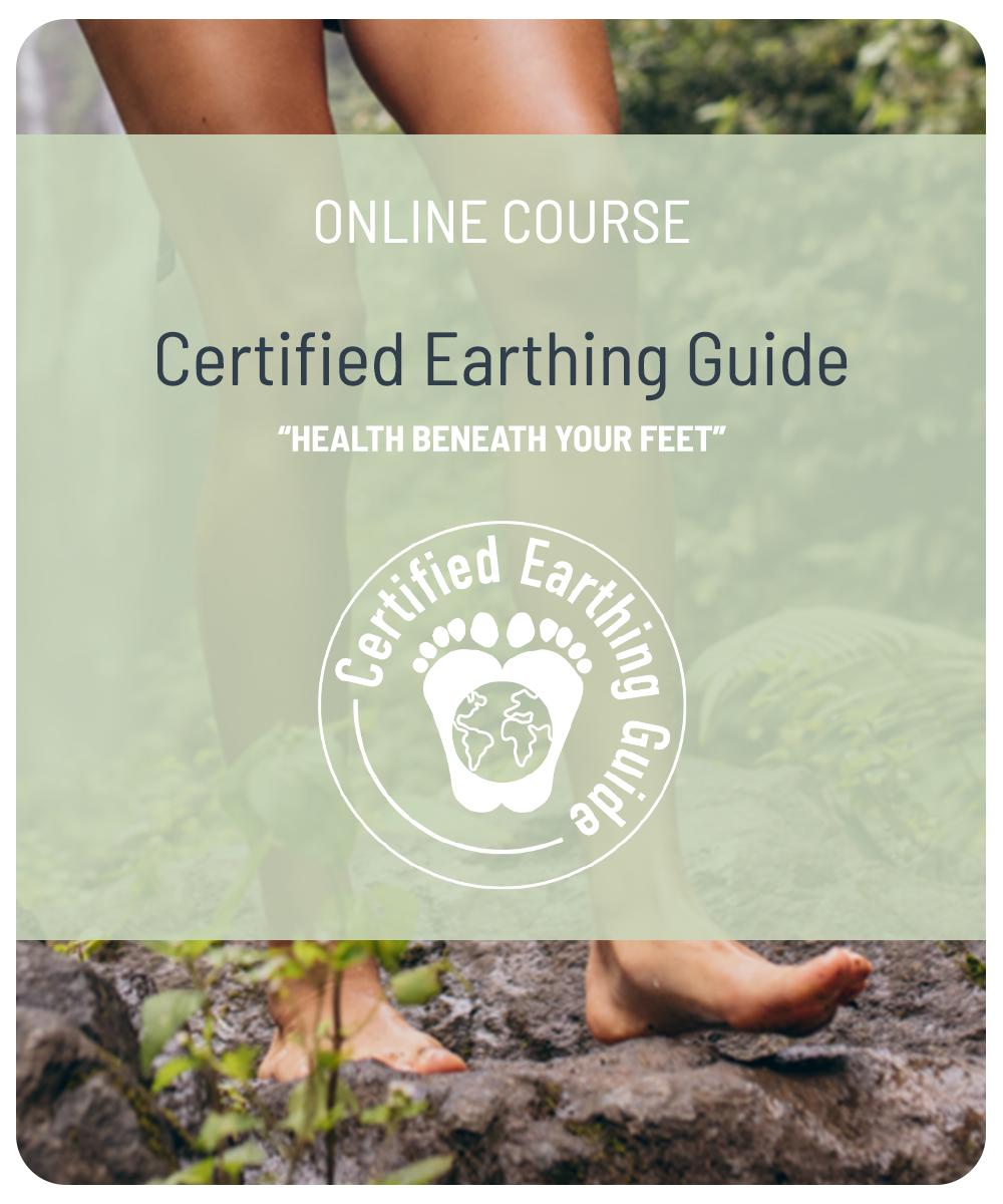 standing_courses_certified_earthingguide_transparent_1000