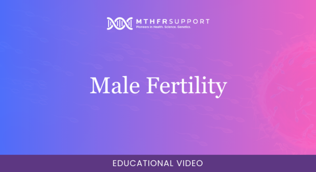 700 - Fertility Webinar - Male Fertility