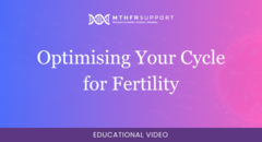 700 - Fertility Webinar - Optimising Your Cycle for Fertility