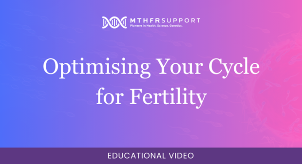 700 - Fertility Webinar - Optimising Your Cycle for Fertility