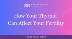 700 - Fertility Webinar - How Your Thyroid Can Affect Your Fertility