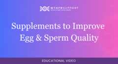 700 - Fertility Webinar - Supplements to Improve Egg & Sperm Quality