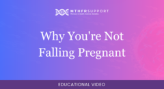 700 - Fertility Webinar - Why You're Not Falling Pregnant