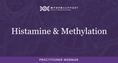 700 Prac Webinar - Histamine and Methylation