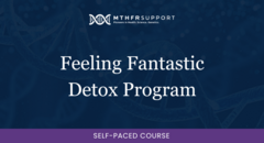 700 course - Feeling Fantastic Detox Program