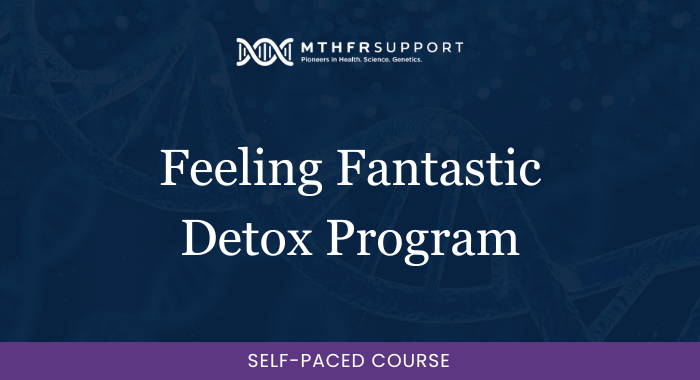 700 course - Feeling Fantastic Detox Program