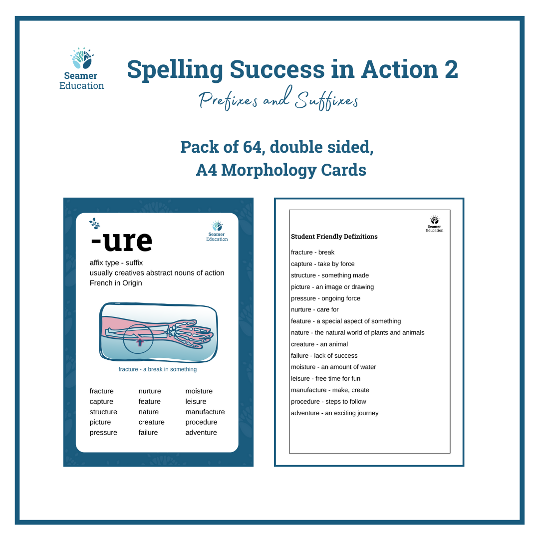 Spelling Success Morphology Cards image (7)