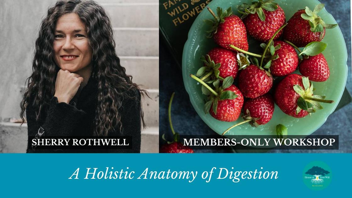 Sherry Rothwell holistic anatomy of digestion