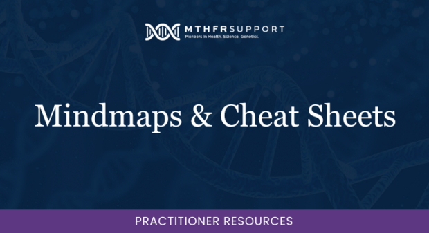 700 Prac - Mindmaps & Cheat Sheets