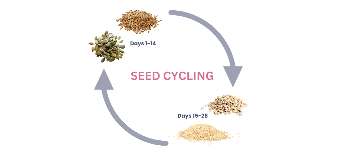 Seed Cycling (1080 x 500 px) (1)