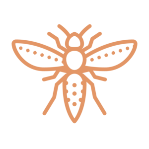 hornet icons - orange