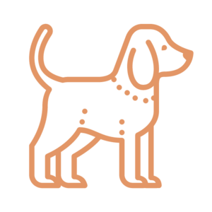 Dog icon - orange