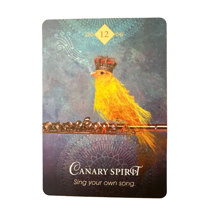 Canary Spirit Animal Oracle by Colette Baron-Reid and Jenna DellaGrottaglia