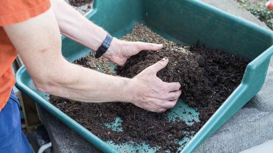 How to choose a good peat free potting mix (or compost)