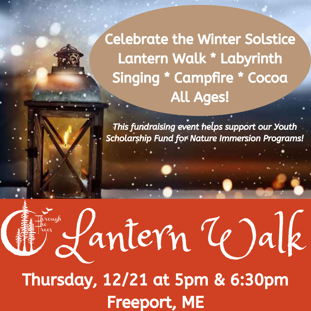 Lantern Walk