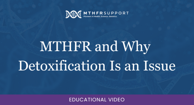 700 webinar - MTHFR and Why Detoxification Is an Issue