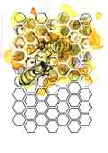#05 - Collaborative Beehive (Dolors Quiles, 2022)