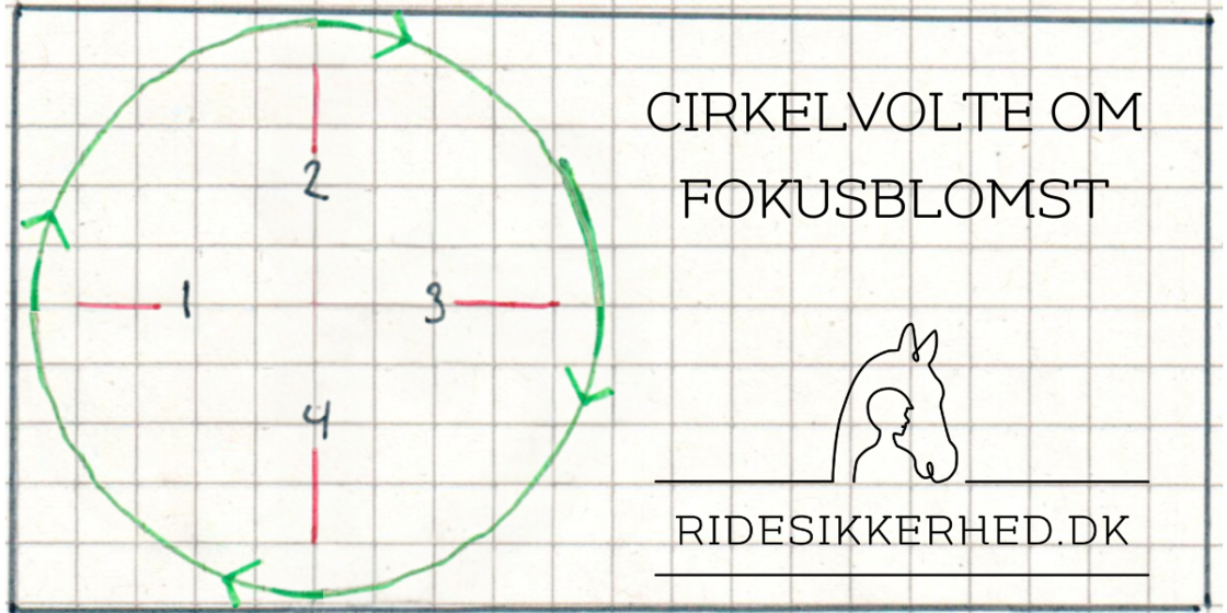 FOKUSBLOMSTENcirkel