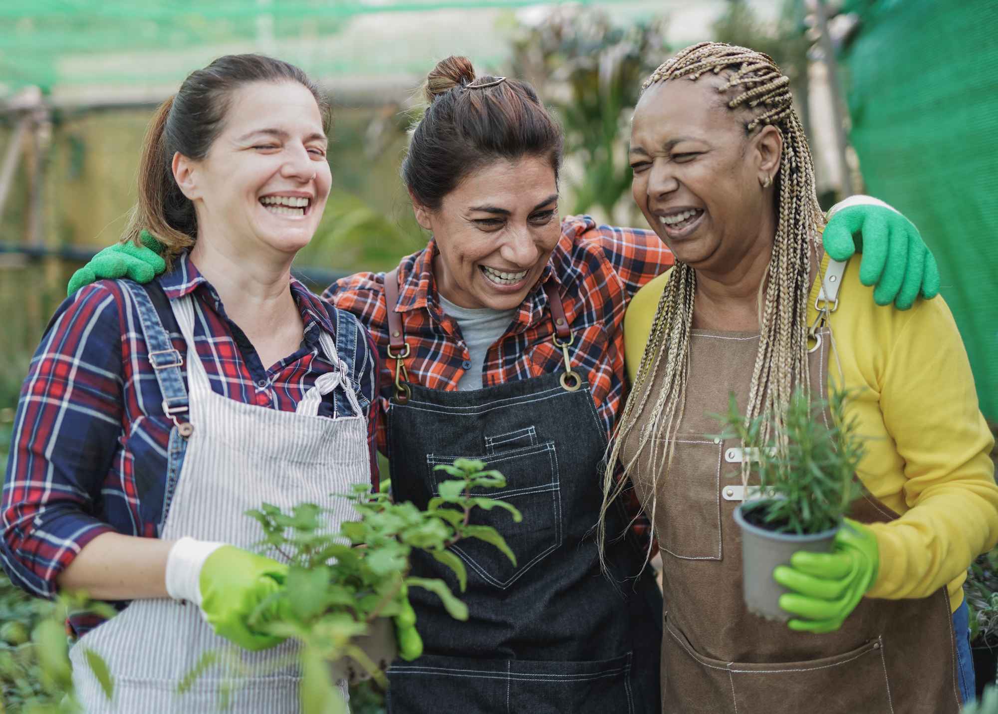 multiracial-women-having-fun-working-inside-garden-center