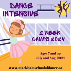 dance camp and party visuals msd (10 x 10 in)-5