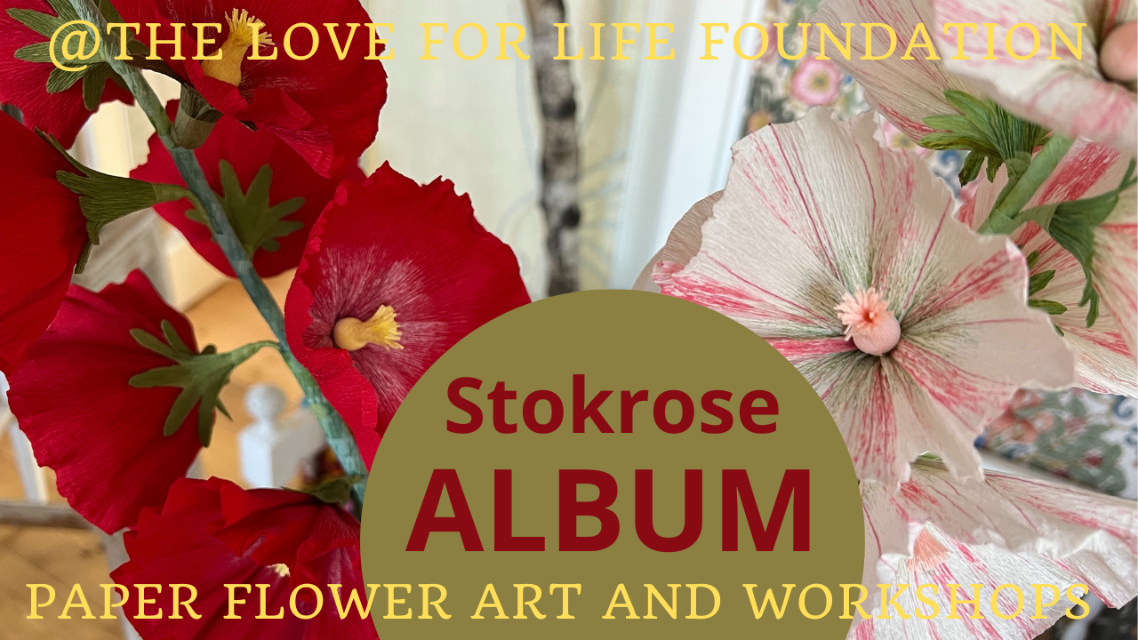 Stokrose  Album