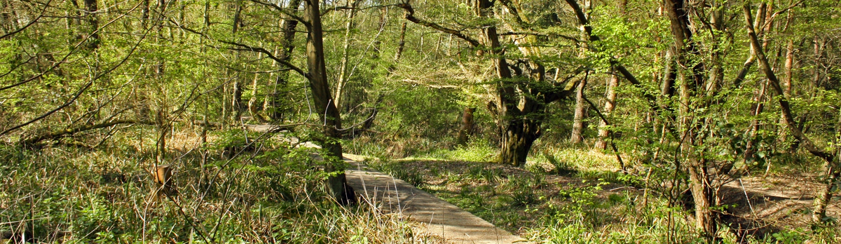 Danemead April 2017 (c) Charlotte Hussey (2)