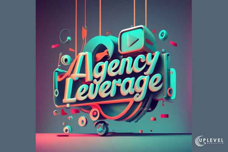 Agency Leverage