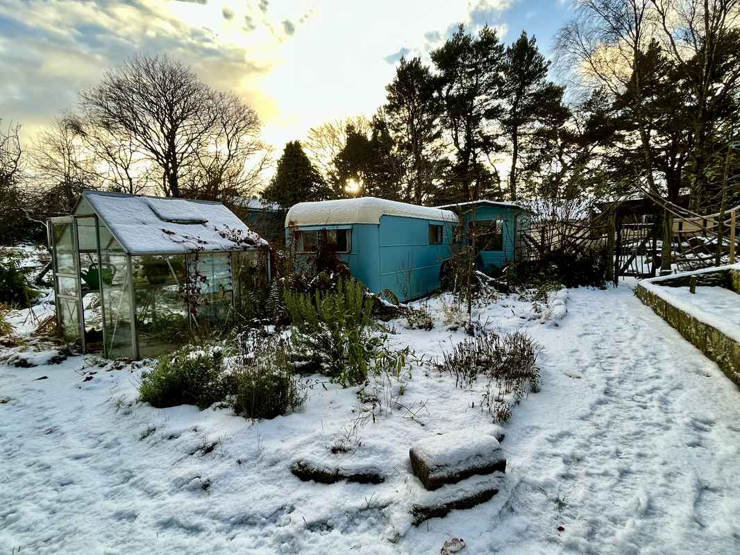 Orig garden in snow