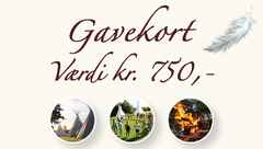 Gavekort_750_shop