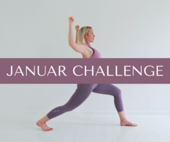 januar challenge