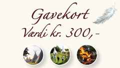 Gavekort_300_shop