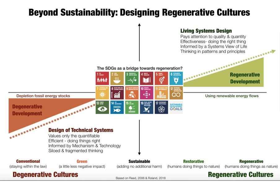 beyond sustainability